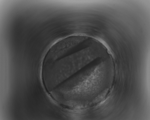 X0000089751245200706281620