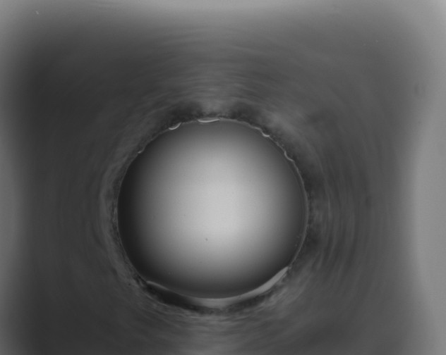 X0000089751249200706281619