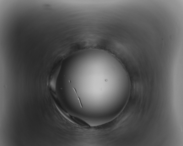 X0000089751250200706281619