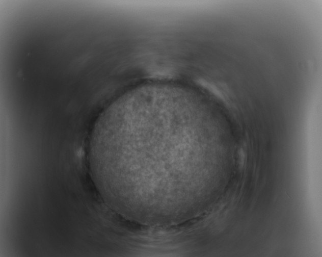 X0000089751254200706281619
