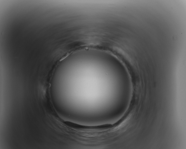 X0000089751257200706281619