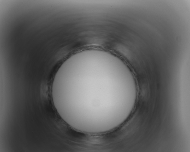 X0000089751258200706281619