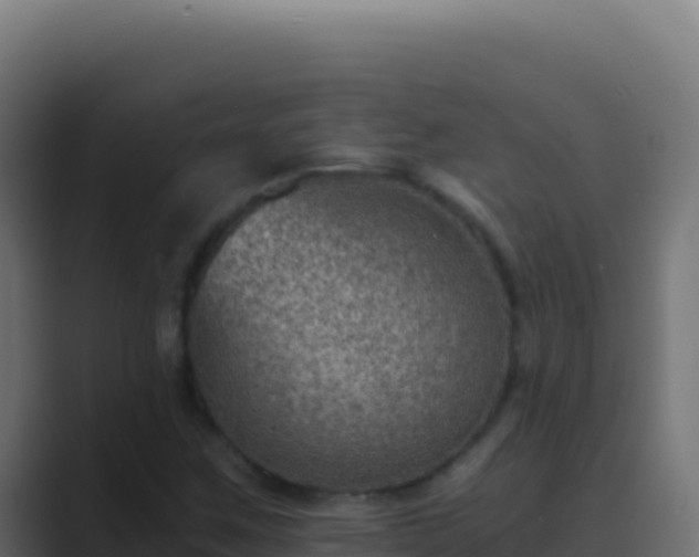 X0000089751259200706281619