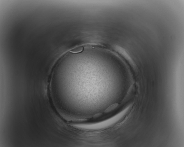 X0000089751260200706281619