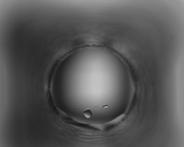 X0000089751261200706281619