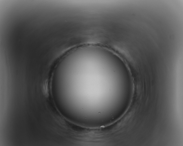 X0000089751262200706281619