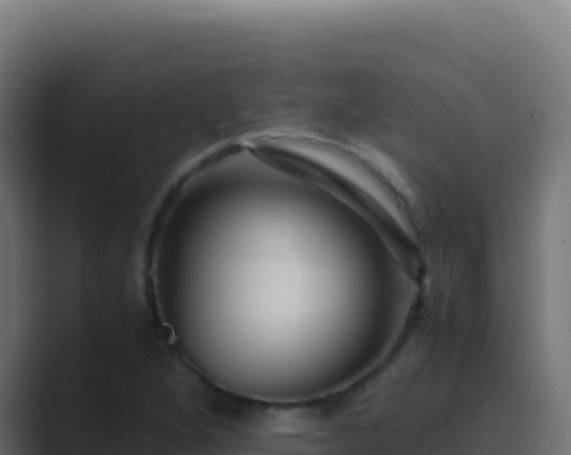 X0000089751264200706281619