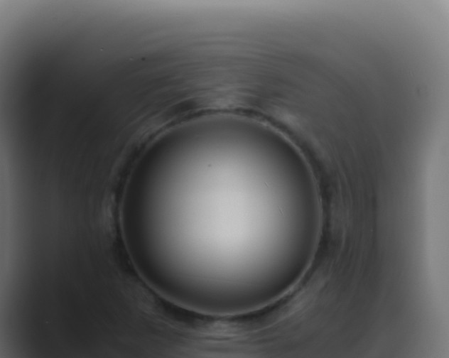 X0000089751265200706281619