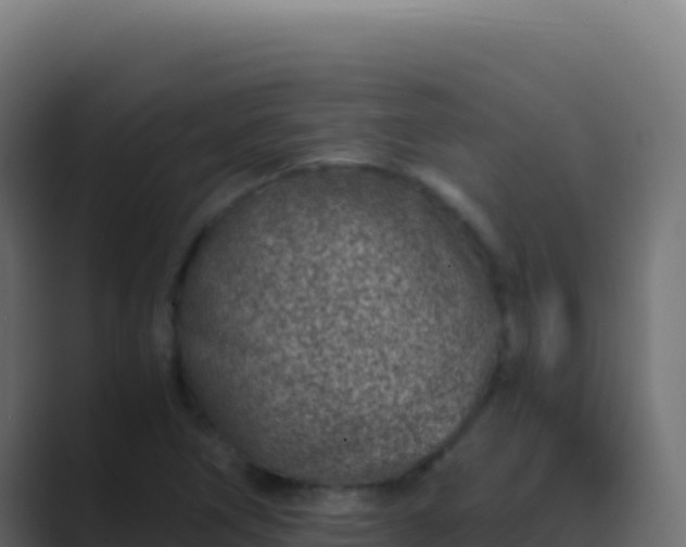 X0000089751266200706281619