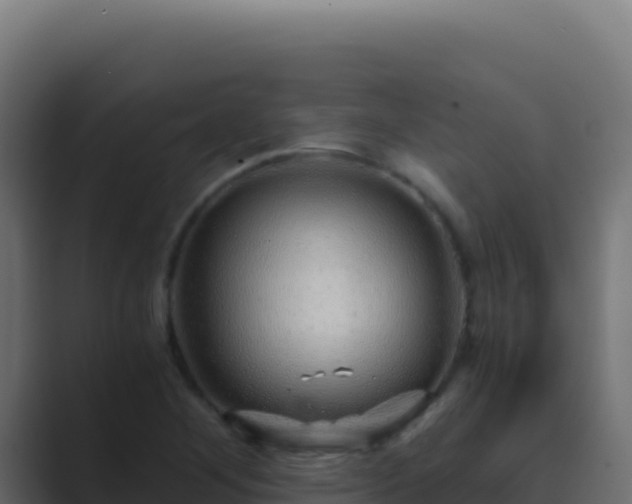 X0000089751268200706281619