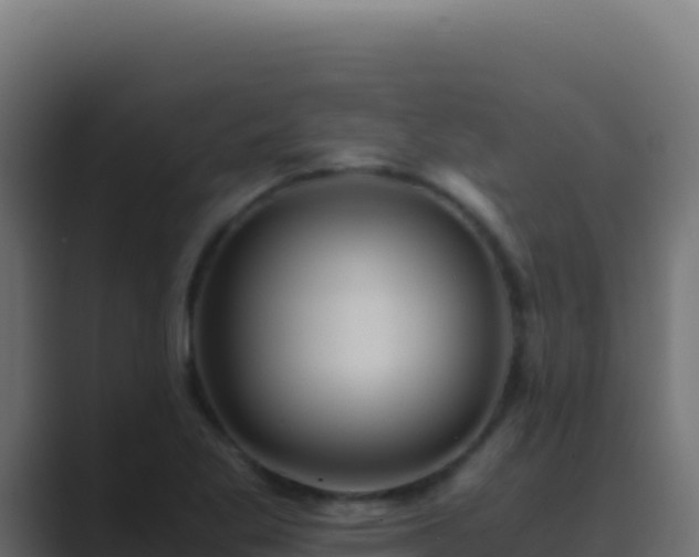 X0000089751269200706281619