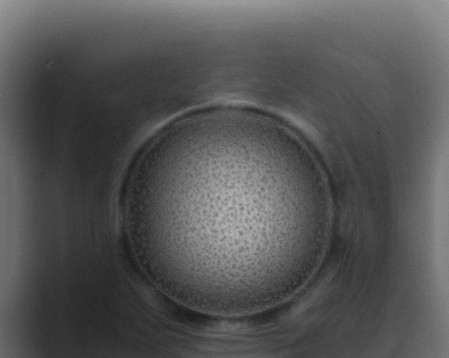 X0000089751271200706281619