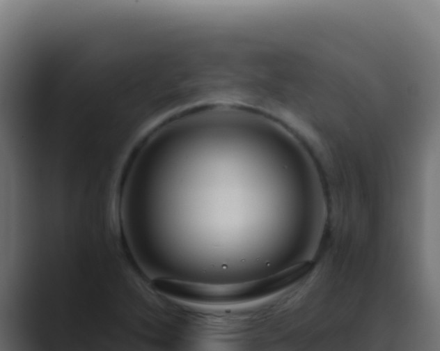X0000089751272200706281619