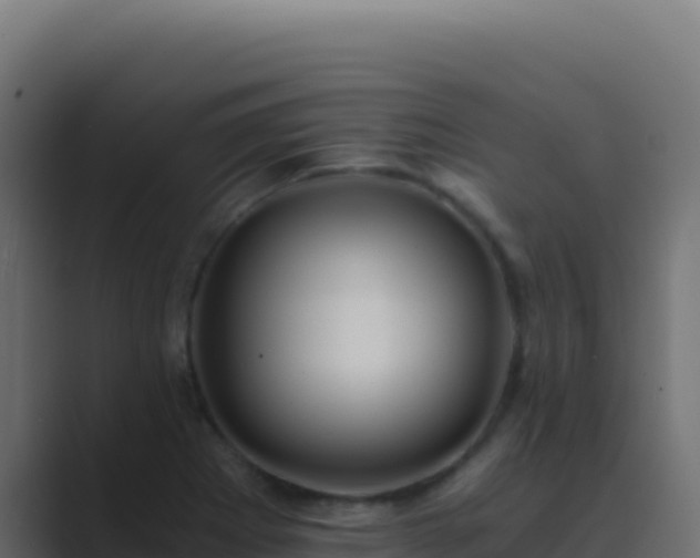 X0000089751273200706281619