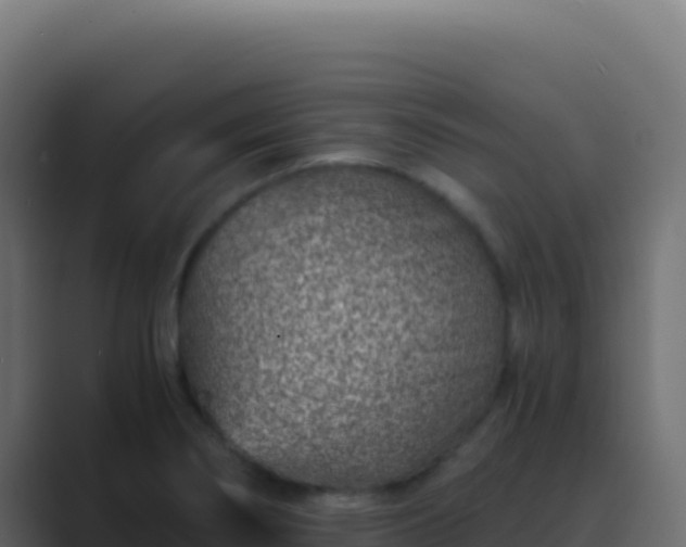 X0000089751274200706281619