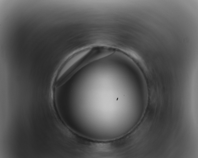 X0000089751280200706281619