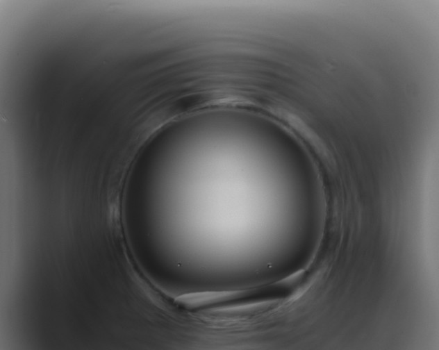 X0000089751281200706281619
