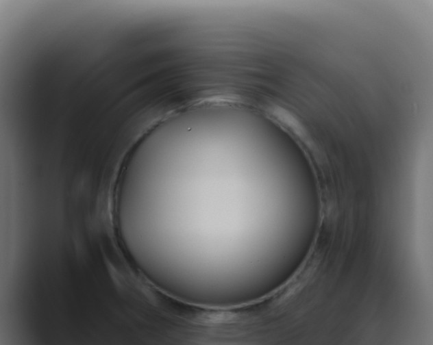 X0000089751282200706281619