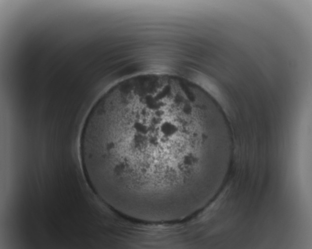 X0000089751283200706281619