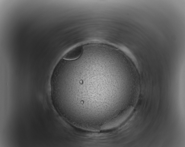 X0000089751287200706281619