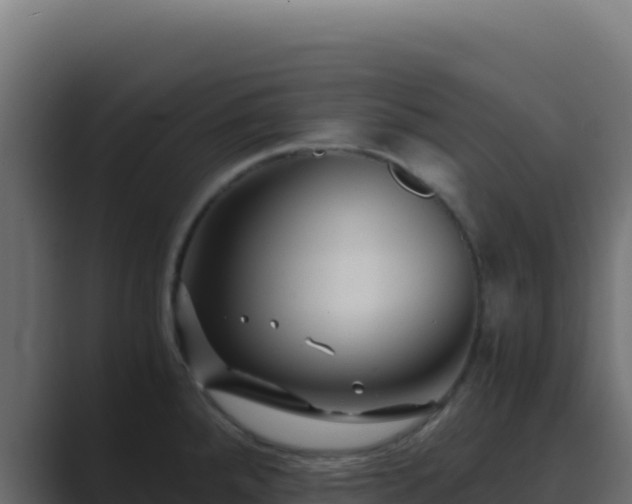 X0000089751288200706281619