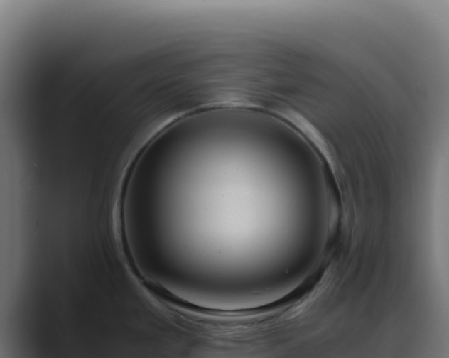 X0000089751293200706281619