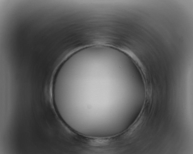 X0000089751294200706281619