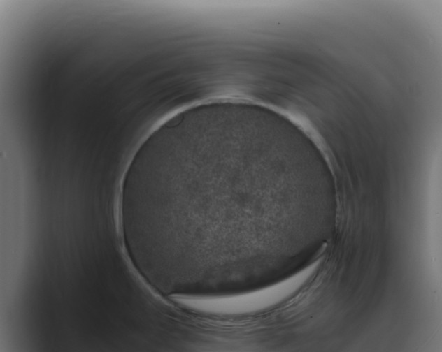 X0000089751295200706281619