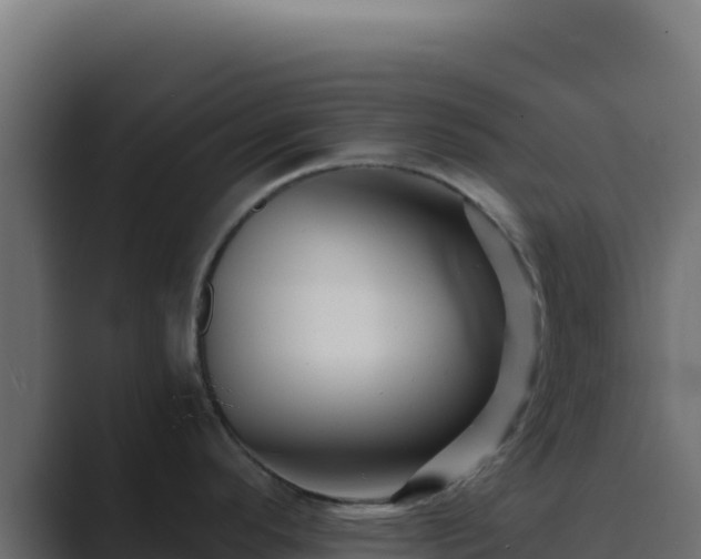 X0000089751296200706281619