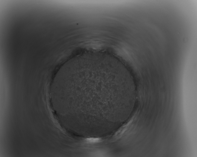 X0000089751297200706281618