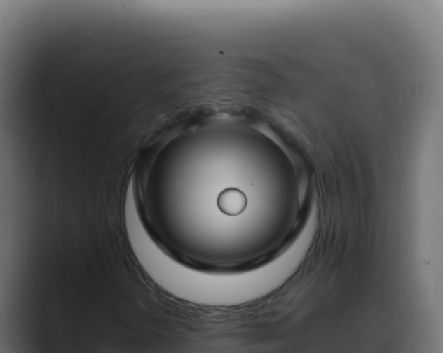 X0000089751298200706281618