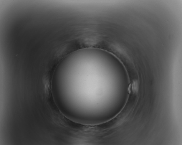 X0000089751299200706281618