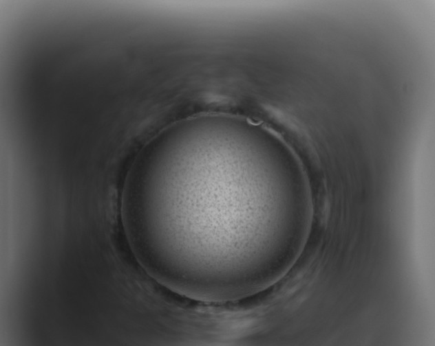 X0000089751301200706281618