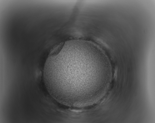 X0000089751302200706281618