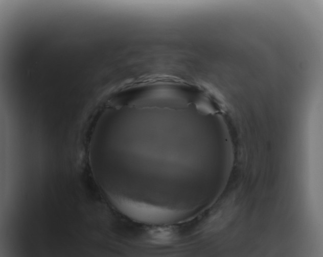X0000089751303200706281618