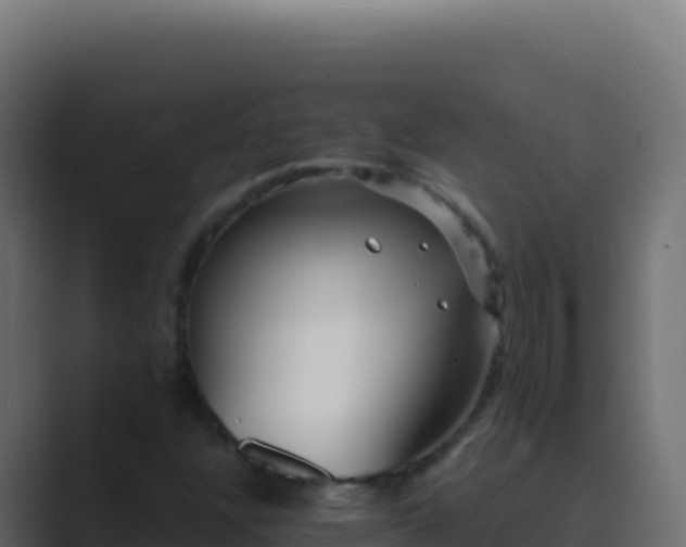 X0000089751304200706281618