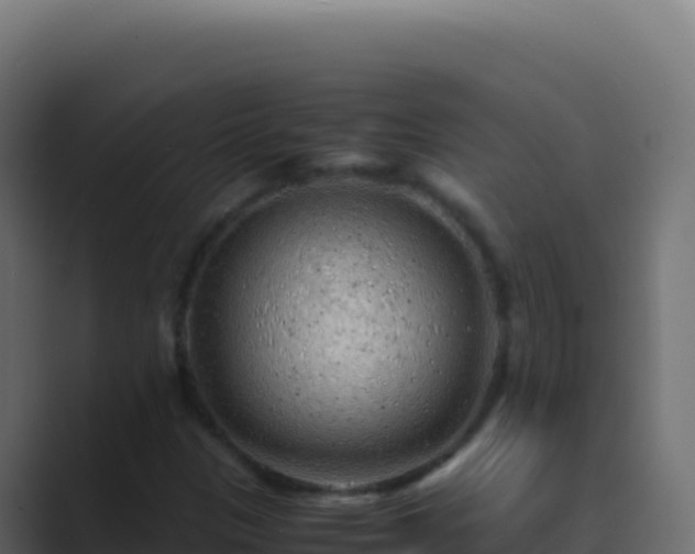 X0000089751305200706281618