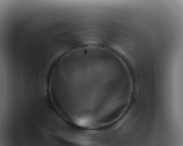 X0000089751306200706281618