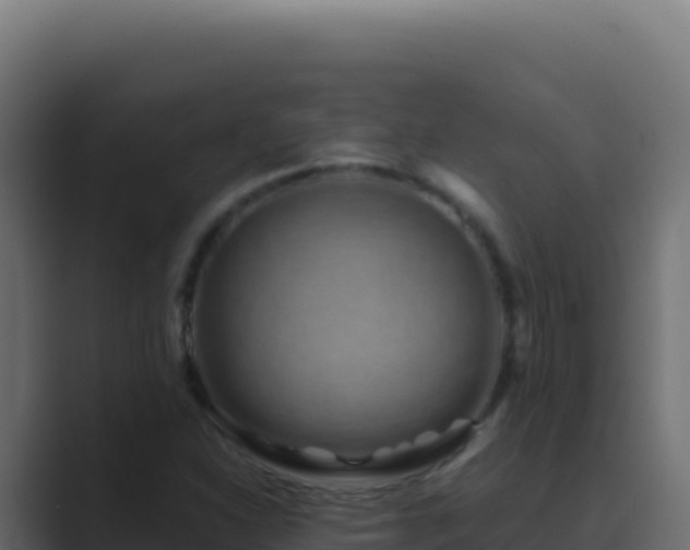 X0000089751310200706281618