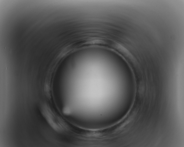 X0000089751321200706281618