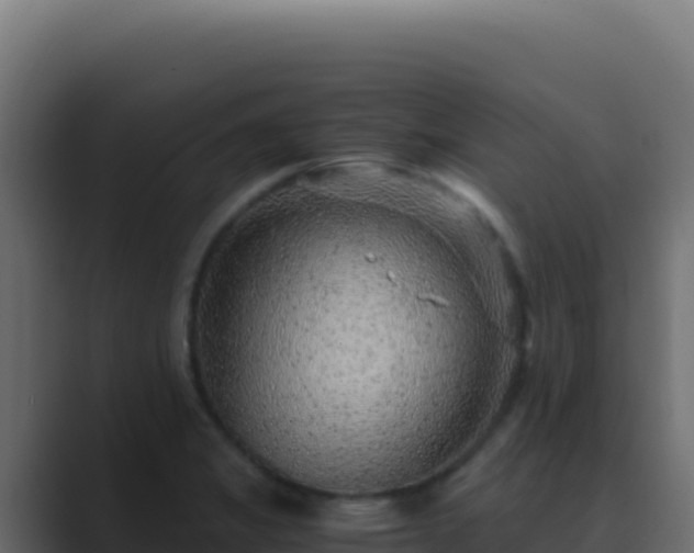 X0000089751325200706281618