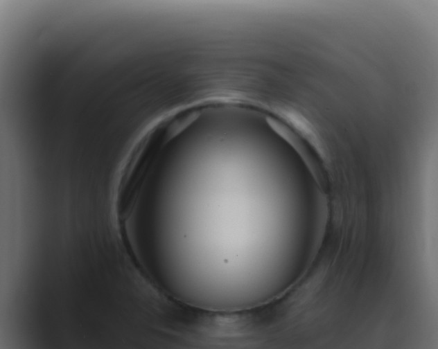 X0000089751326200706281618