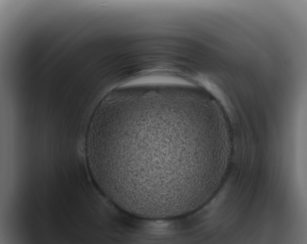 X0000089751329200706281618