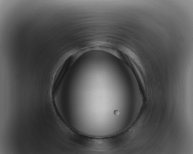 X0000089751330200706281618