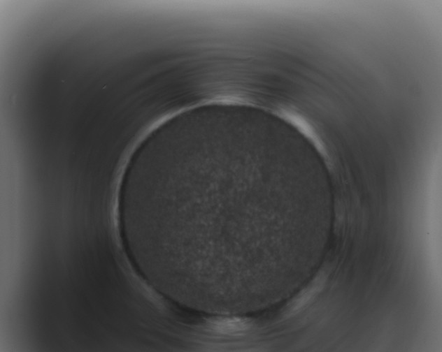 X0000089751331200706281618