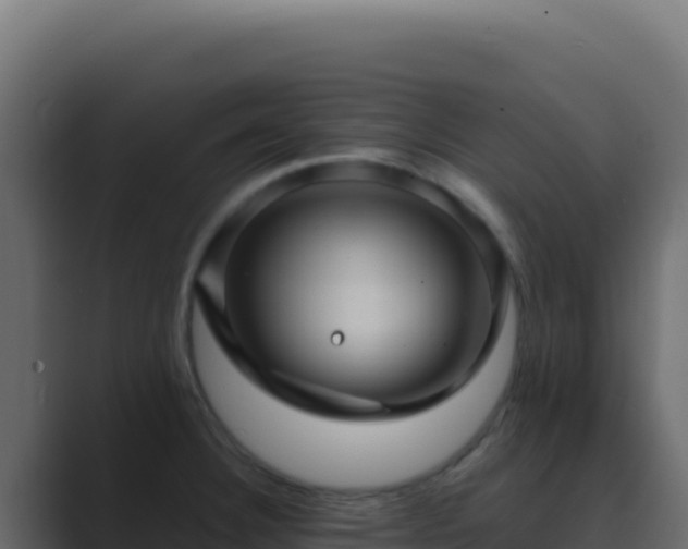 X0000089751332200706281619