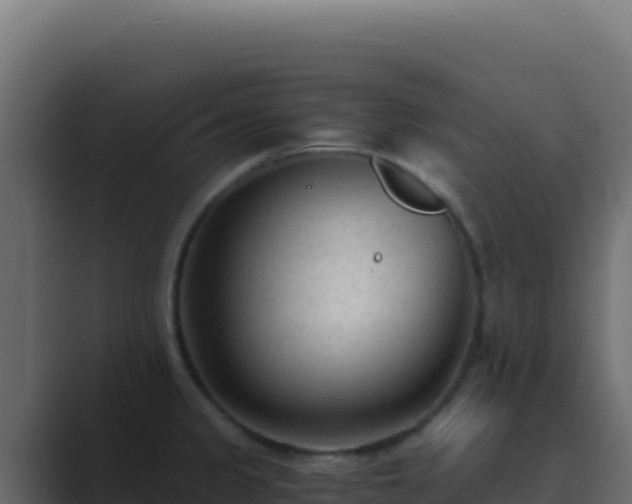 X0000089751333200706281619