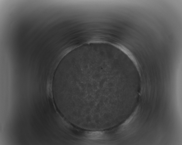 X0000089751337200706281619