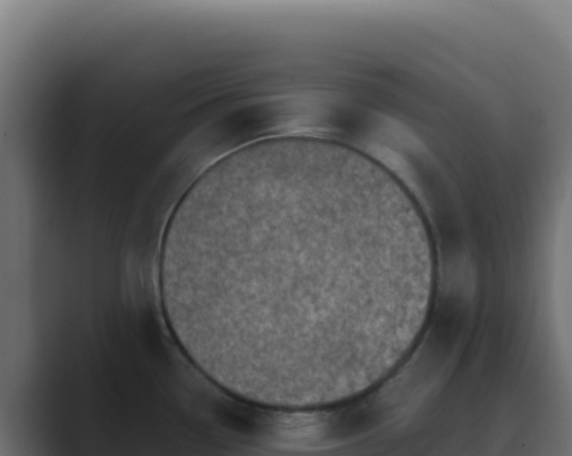 X0000089751338200706281619