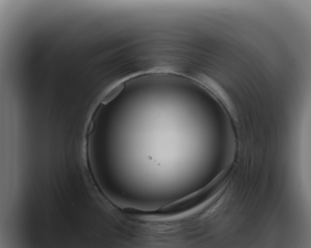 X0000089751340200706281619